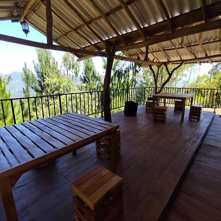 אלה Villa Nature Hights מראה חיצוני תמונה